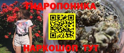 ALPHA PVP Будённовск